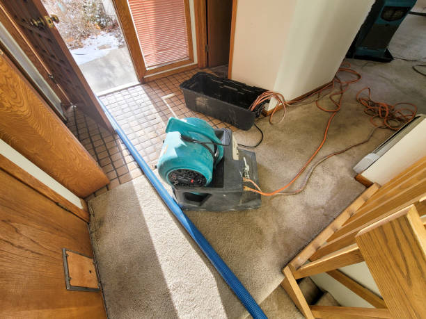 Best Emergency water damage restoration  in Fruitport, MI