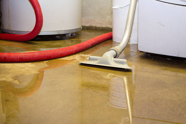 Best 24/7 water damage repair  in Fruitport, MI