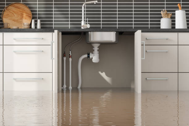 Best Fire Damage Restoration  in Fruitport, MI