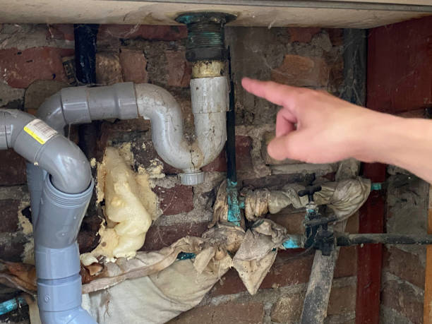 Best Mold removal after water damage  in Fruitport, MI